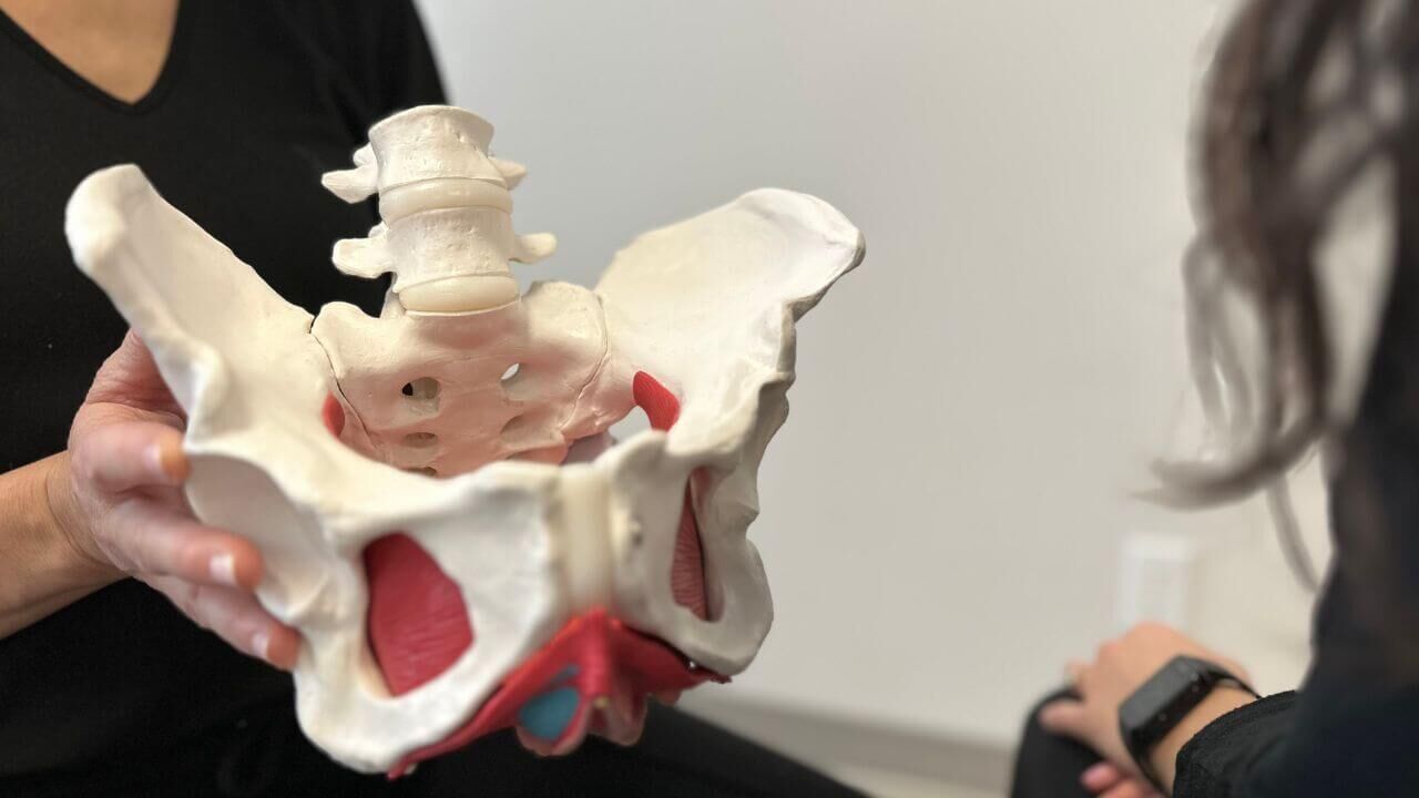 Pelvic Health Physical Therapy